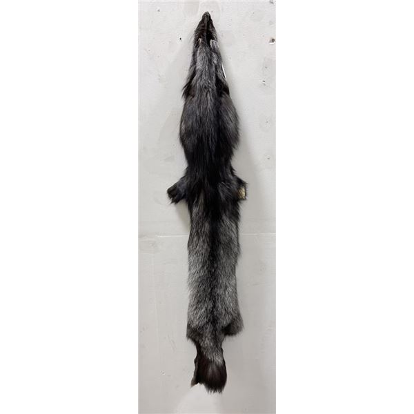 Beautiful Ranch Silver Fox Fur Pelt Taxidermy #18