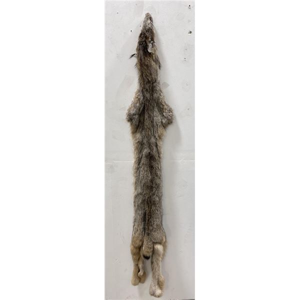 Beautiful Alaskan Lynx Fur Pelt Taxidermy #23