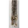 Image 3 : Beautiful Alaskan Lynx Fur Pelt Taxidermy #23