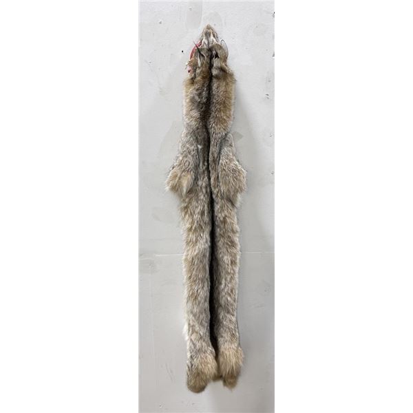 Beautiful Alaskan Lynx Fur Pelt Taxidermy #27