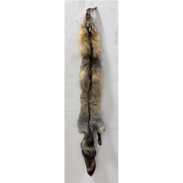 Beautiful Ranch Cross Fox Fur Pelt Taxidermy #17