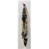 Image 2 : Beautiful Ranch Cross Fox Fur Pelt Taxidermy #17