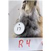 Image 5 : Beautiful Ranch Cross Fox Fur Pelt Taxidermy #17