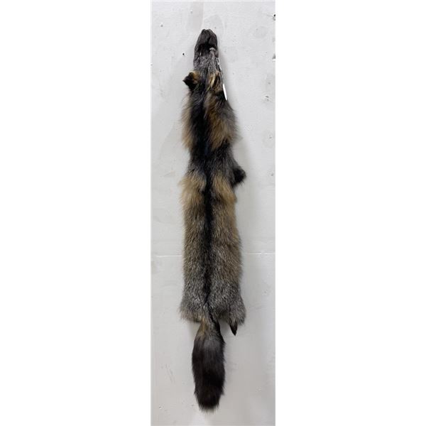 Beautiful Ranch Silver Fox Fur Pelt Taxidermy #14