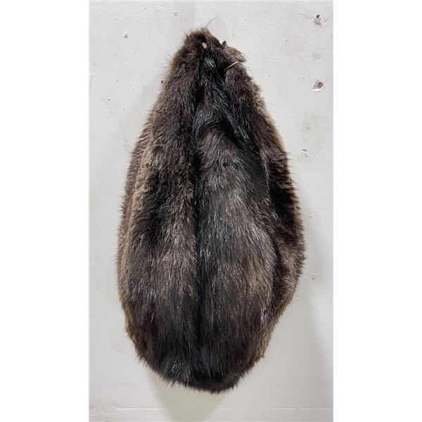 Montana Taxidermy Beaver Fur Pelt #5