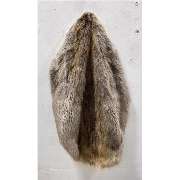 Montana Taxidermy Beaver Fur Pelt #2