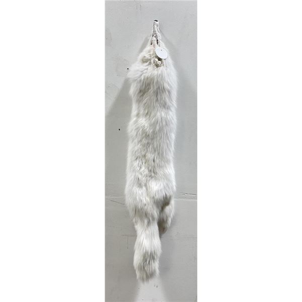 Beautiful Arctic Fox Fur Pelt Taxidermy #35