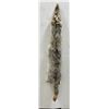 Montana Taxidermy Coyote Pelt #71
