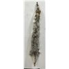 Montana Taxidermy Coyote Pelt #65
