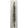 Montana Taxidermy Coyote Pelt #66