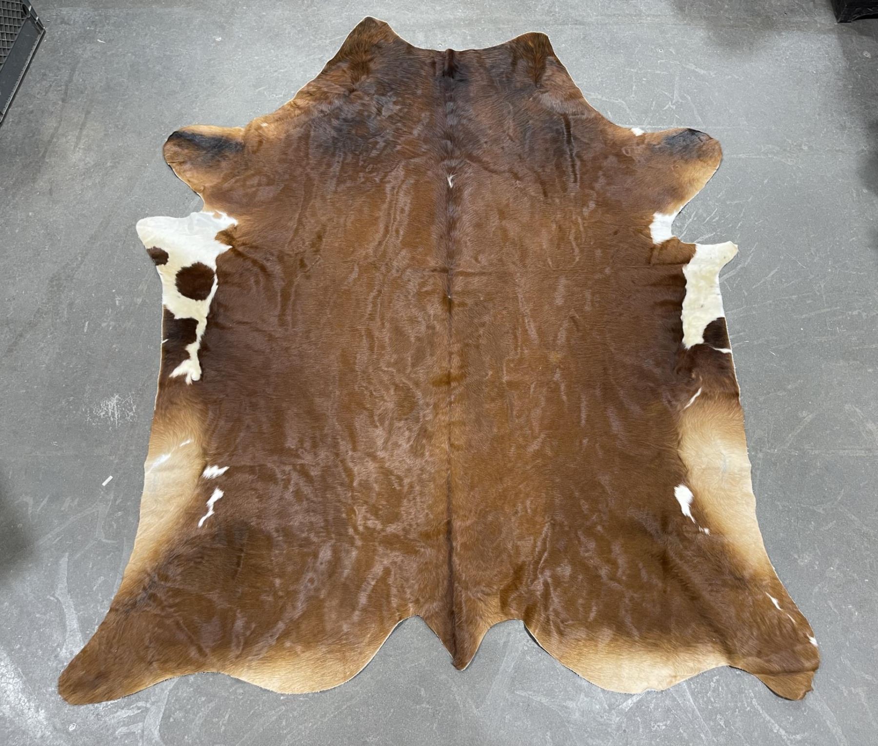 Tanned Brindle Steerhide Steer Bull Cow Rug