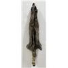 Montana Taxidermy Raccoon Pelt #57
