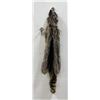 Montana Taxidermy Raccoon Pelt #53