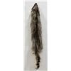 Montana Taxidermy Raccoon Pelt #50