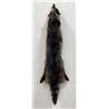 Montana Taxidermy Raccoon Pelt #49