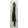 Montana Taxidermy Raccoon Pelt #47