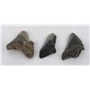 Image 2 : Collection of Megalodon Shark Tooth Fossils