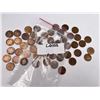 Image 4 : Collection of Indian Head Pennies