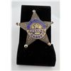 Image 1 : Texas Cattle Raisers Special Ranger Badge