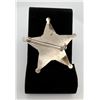 Image 2 : Texas Cattle Raisers Special Ranger Badge