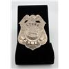 Lyons Police Kansas Badge