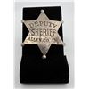 Deputy Sheriff Allen County Indiana Badge