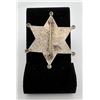 Image 2 : Deputy Sheriff Allen County Indiana Badge