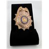 Image 1 : Chief of Police Newton Kansas Badge