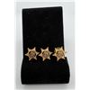 Image 1 : Group of 3 Deputy Sheriff Badges
