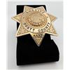 Image 1 : Sheriff Pratt County Kansas Badge