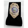 Deputy Sheriff Rooks County Kansas Badge