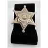Deputy Sheriff Sanders County Montana Badge