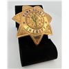 Image 1 : Deputy Sheriff Yuma County Arizona Badge