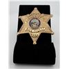 Deputy Sheriff Rice County Kansas Police Badge
