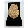 Antique New Jersey Special Police Badge