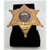 Image 1 : Lieutenant Sheriff Reno County Kansas Badge