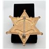 Image 2 : Lieutenant Sheriff Reno County Kansas Badge