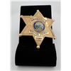 Image 1 : Detective Stevens County Kansas Badge