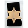 Image 2 : Detective Stevens County Kansas Badge