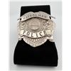 Image 1 : Police Patrolman Kansas Badge