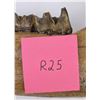 Image 7 : Fossil Woolly Rhinoceros Jaw Bone