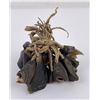 Image 1 : Antique Plains Native American Indian Dew Claws