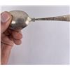 Image 3 : Sterling Silver Souvenir Spoons