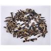 Image 1 : Lot of 100 Fossilized Buffalo Teeth