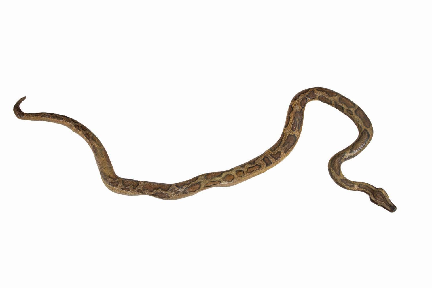 A Jungle Cruise Giant Python Prop.