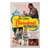 Image 1 : A "Disneyland After Dark" One Sheet Poster.