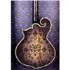 Image 4 : A Haunted Mansion 50th Anniversary Electric Guitar.