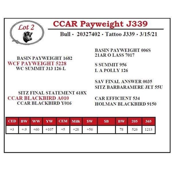 CCAR Payweight J339