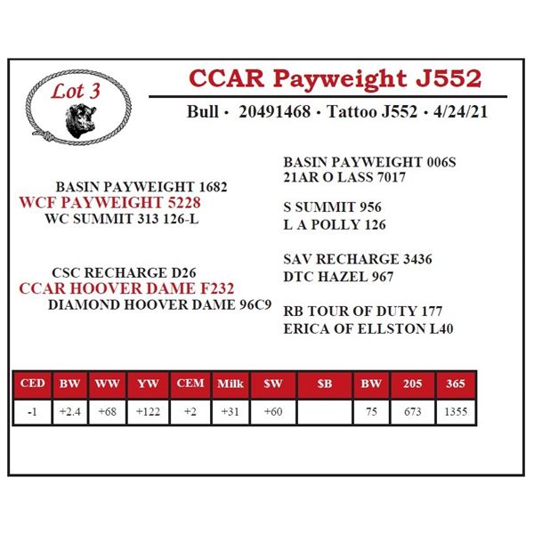 CCAR Payweight J552