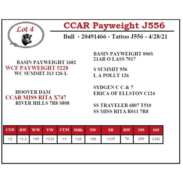 CCAR Payweight J556